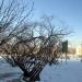 Инсталляция «Сердце, пронзённое стрелой» в городе Гусиноозёрск