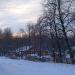 Лесничество в городе Лыткарино