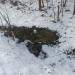 Развалины пивоваренного завода Эльстинга в городе Великие Луки