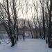 Болото в городе Великие Луки