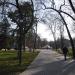 Парк имени Тренёва в городе Симферополь