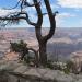 Yavapai Point