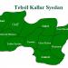 Tehsil Kallar Syedan