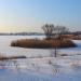 Остров в городе Кривой Рог