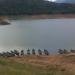 Boats Jetty - Karaiyaar Reservoir