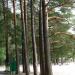 Beach in Priozersk city