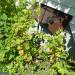 Piotrków Trybunalski: FuMG-65 Würzburg-Riese (Perlhuhn) (pl) in Piotrkow Trybunalski city