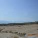 Date palm plantations and water melon fields