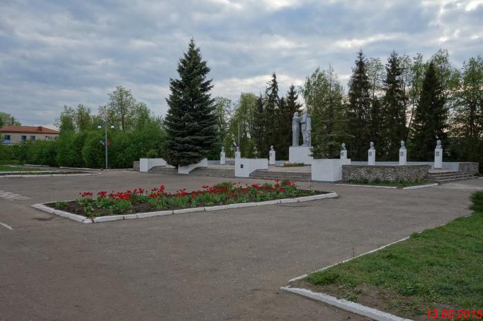 Мемориал воинам, погибшим в годы Великой Отечественной войны   Белинский image 9