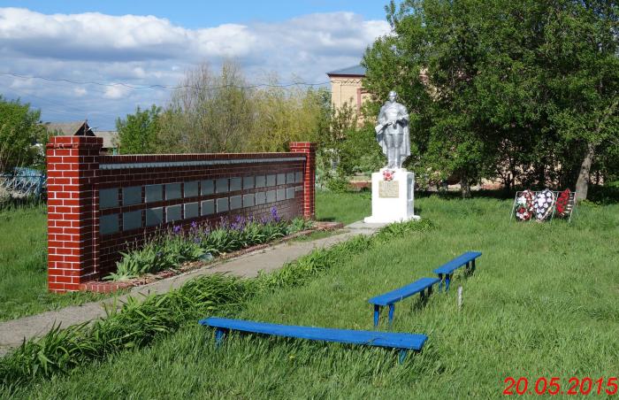 Памятник воинам, погибшим в годы Великой Отечественной войны   Синенькие image 8