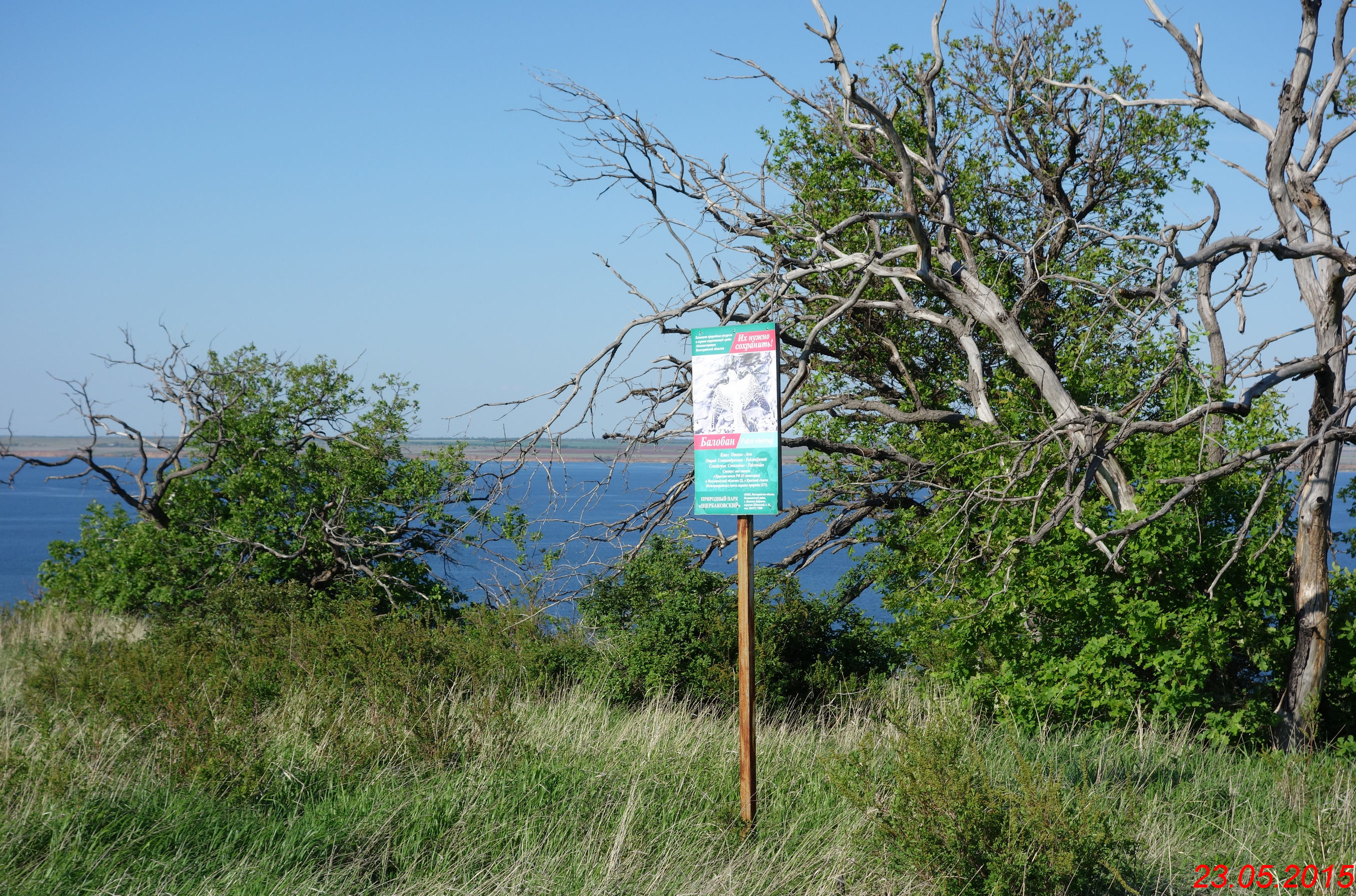 Дубрава | лесополоса/лесопосадка(посадка)