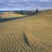 Great Kobuk Sand Dunes