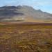 Great Kobuk Sand Dunes