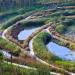 Парк отдыха «Yanweizhou Wetland Park»