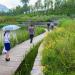 Парк отдыха «Yanweizhou Wetland Park»