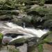 The Strid