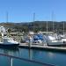 Pillar Point Harbor