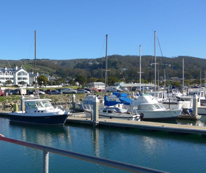 List 105+ Pictures pillar point harbor photos Superb