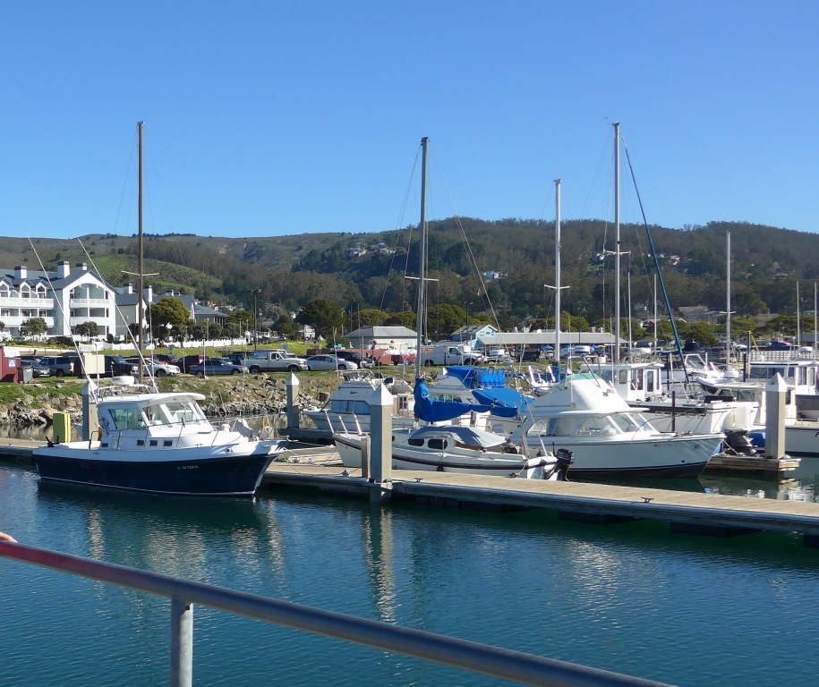 Pillar Point Harbor
