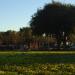 Chynoweth Park in San Jose, California city