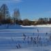 Пруд на реке Горелый Крест в городе Струнино