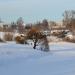 Пруд на реке Горелый Крест в городе Струнино