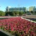Клумба в городе Екатеринбург