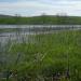 Lake Chekurel