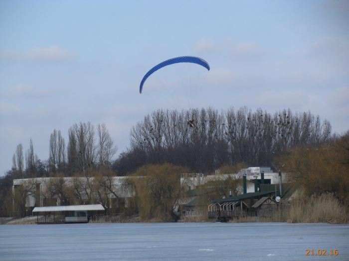 мегагринн курск бассейн фото мегагринн курск бассейн фото