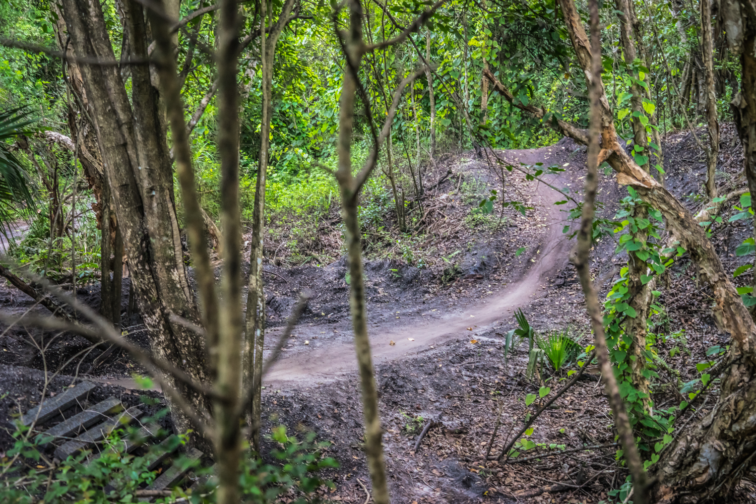 markham mountain bike trail