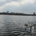 Немецкое озеро в городе Ивано-Франковск