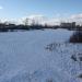 Озеро Торфянка в городе Нахабино