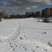 Озеро Торфянка в городе Нахабино