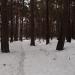 Парк Жалка в городе Алексин