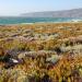 Wild Beach near Guincho