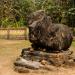 THE NANDI     Archeological site -- Lord Shiva Temple