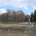 Staw na Jasieniu in Łódź city