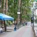 Аттракционы в городе Домодедово