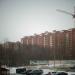Небольшая роща в городе Череповец