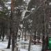 Территория детского сада № 13 в городе Нахабино