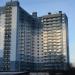 Школьная ул., 2 в городе Новое Девяткино