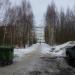 Лес в городе Череповец