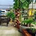 แซ่บ สะออน บางละมุง Sab-Saon Pattaya (en) в городе Паттайя