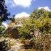 Nuraghe Orgoru or Orgorù