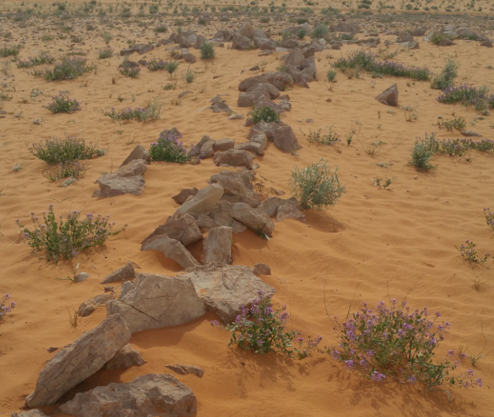 An ancient Irrigation system