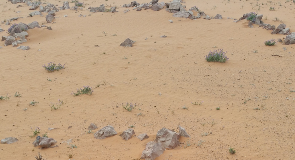 An ancient Irrigation system