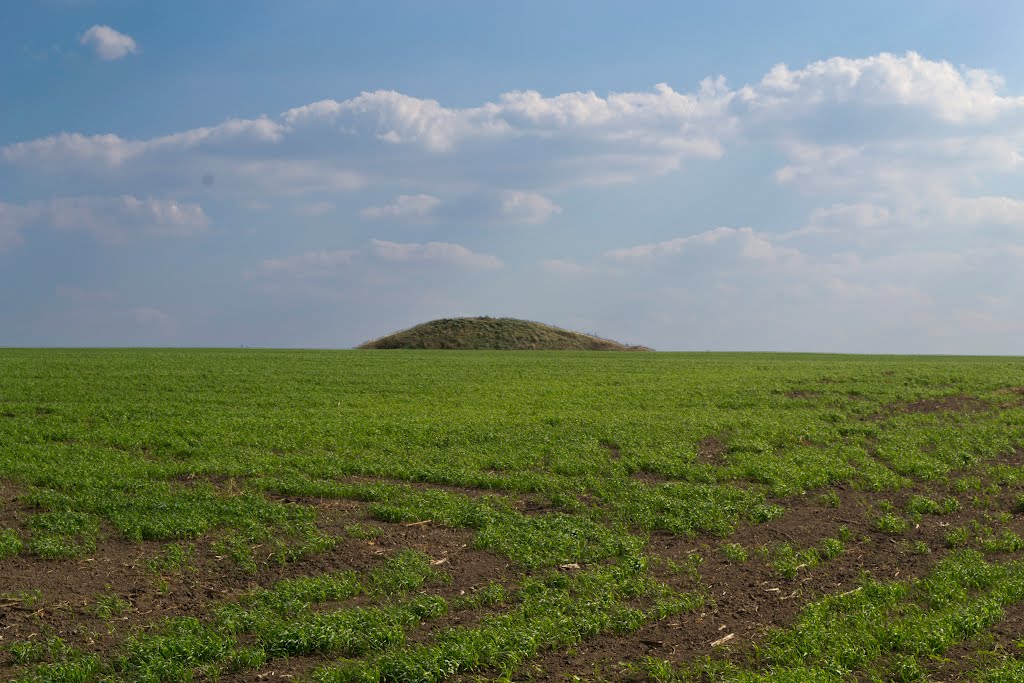 Курган