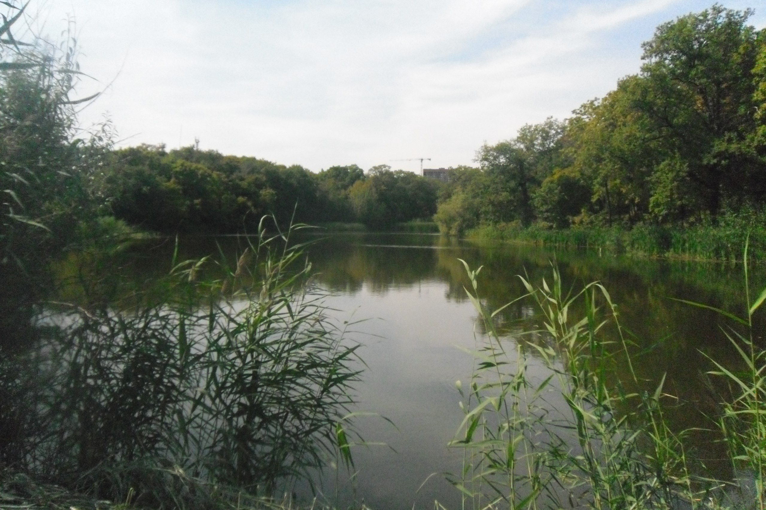 Семхозный пруд Саратов парк проект