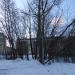 Тополиная роща в городе Череповец