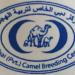 Dubai (Pvt.) Camel Breeding Center (en) في ميدنة مدينة دبــيّ 